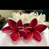 Rabi3 Hussein