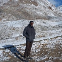 Parthasarathi K