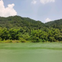 权成南