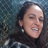 ilana sallorenzo