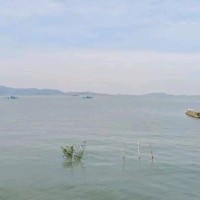 刘喜欣