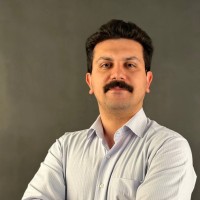 Navid Pardis