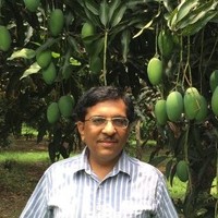 Shailendra Dhamija