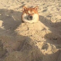 吴素华
