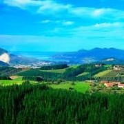 Andres Fernandez Carral