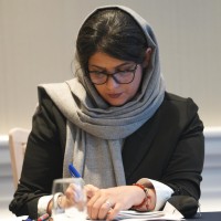 Narges Norouzi