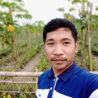 Sajeeb Dofo