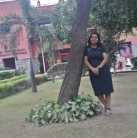Ca Ankita Grover