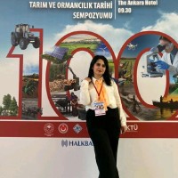 Esra Eroğlu