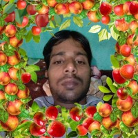 Pramod Kumar