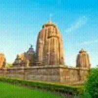 ଗୁଜିରୀ ଅର୍ଜୁନ