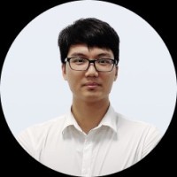 Hoang Phung The