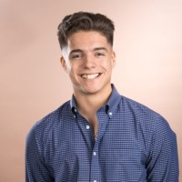 Vincent Introna