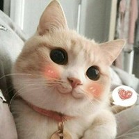 谭德华