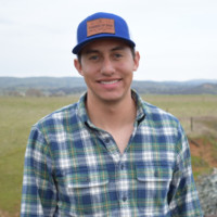 Nicholas Mendoza