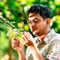 🌳 Henry Ruiz Solsol