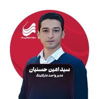 Seyed Amin Hassanian