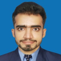 Muhammad Raees
