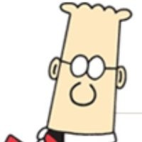 Y P