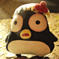 林怀政