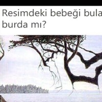 Ceren Pehlivan