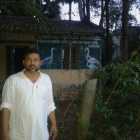 Ashraf Ali
