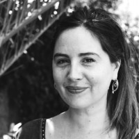 Carola Vesely Avaria
