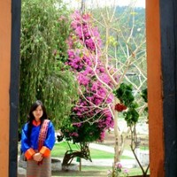 tashi pemo