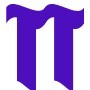 TECHNIQUES TRADING LLC
