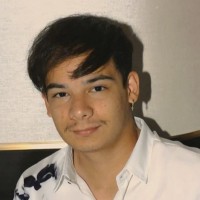 Vitor L. Braga