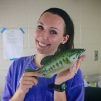 Savannah Kate Foshee