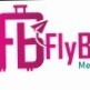 FLYBOOK ptech