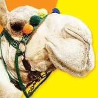 Stichting Utrecht aan de Nijl