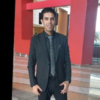 Hossam Mostafa Mohamed Riad