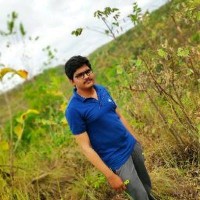 Srinu P