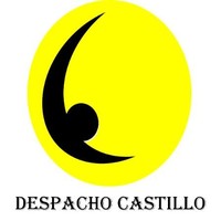 David R. Castillo Ch.
