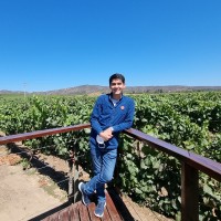 Leonardo Rodrigo Llanos Bustos