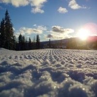 Niclas Sjögren Berg