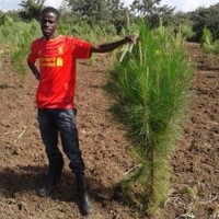 Cpa Julius Okello Opira