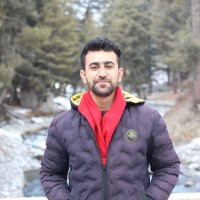 Ali Miqdad