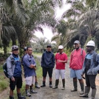 M Zainul F Manurung