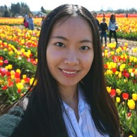 Yafan Zhu