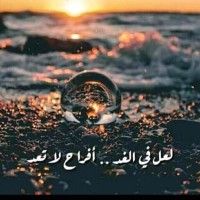 Belal R.