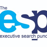 The Executive Search Pundits