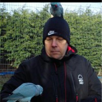Nick Wardle
