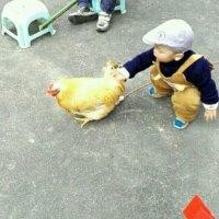 陈洪清