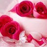 shanaaz m