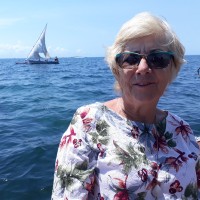 Marianne van der Meer