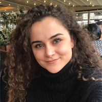 Didem Aksu