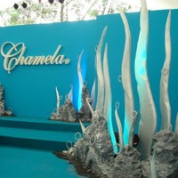 Olga Luz Echeverri Escobar